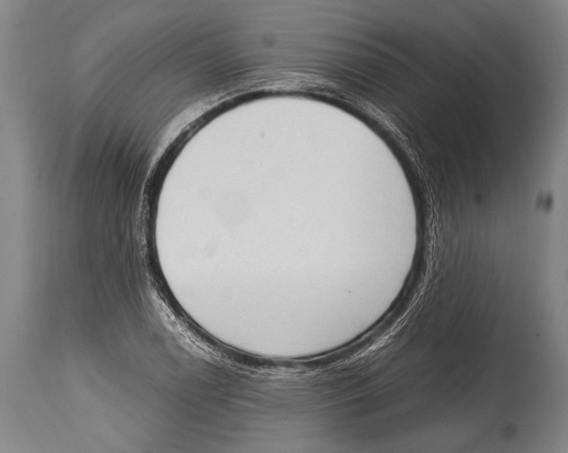 X0000114681122200911181224