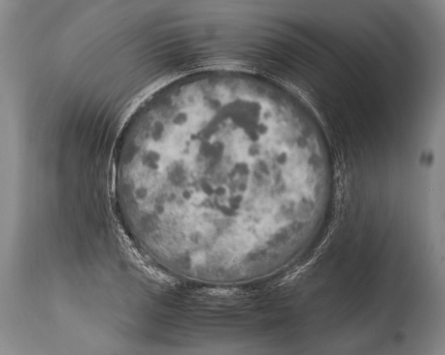 X0000114681125200911181224