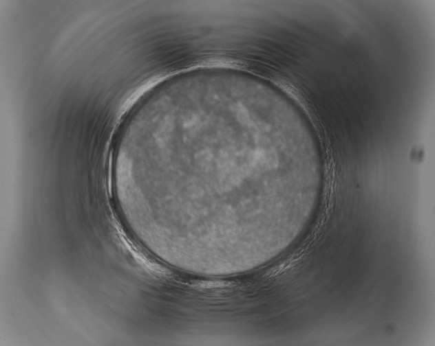 X0000114681127200911181224