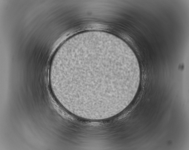 X0000114681130200911181224