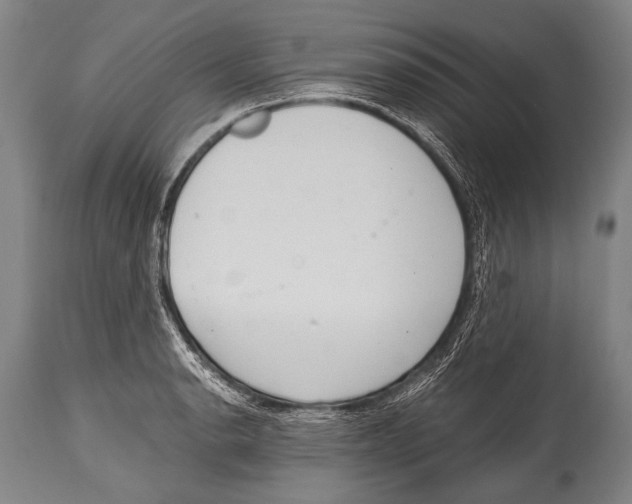 X0000114681134200911181224