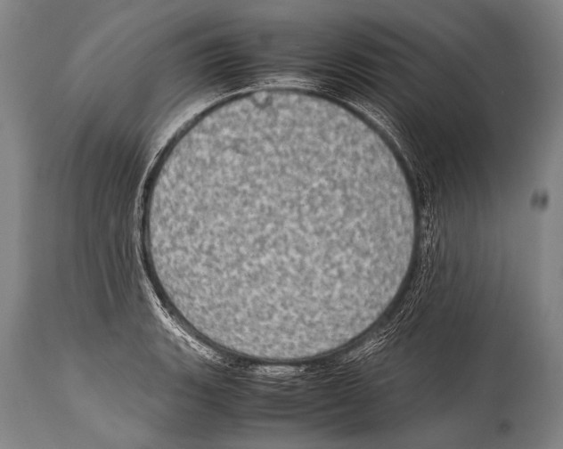 X0000114681135200911181224