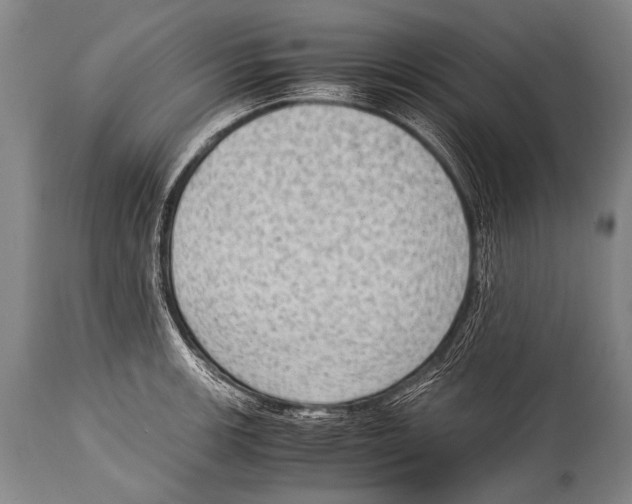 X0000114681139200911181224