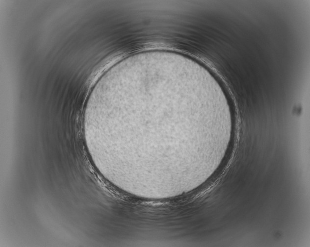 X0000114681145200911181224