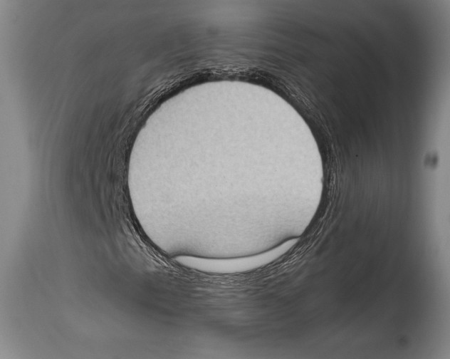 X0000114681153200911181224