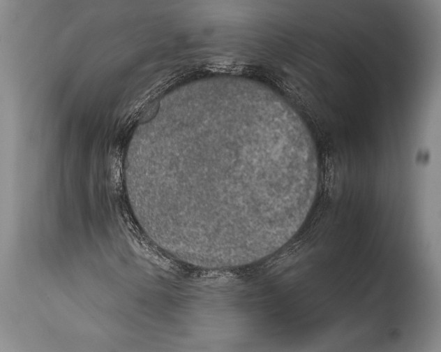 X0000114681154200911181224