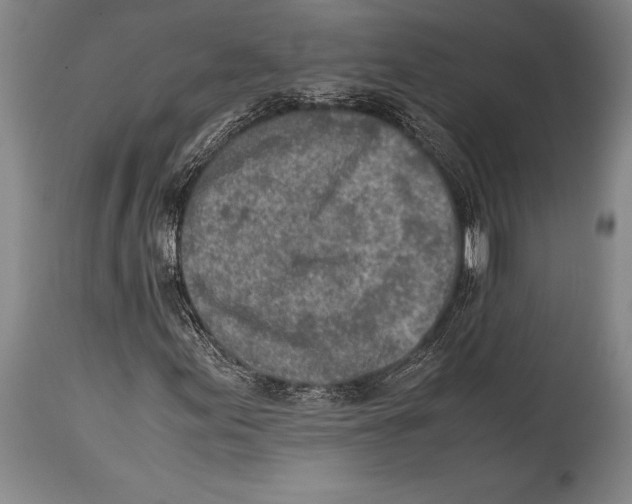 X0000114681155200911181224