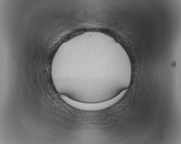 X0000114681157200911181224