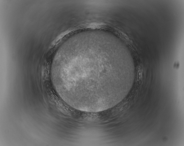 X0000114681158200911181224
