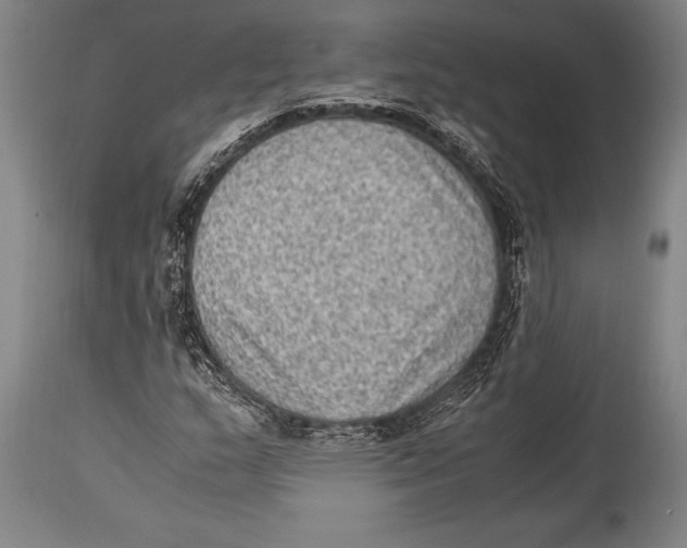 X0000114681159200911181224