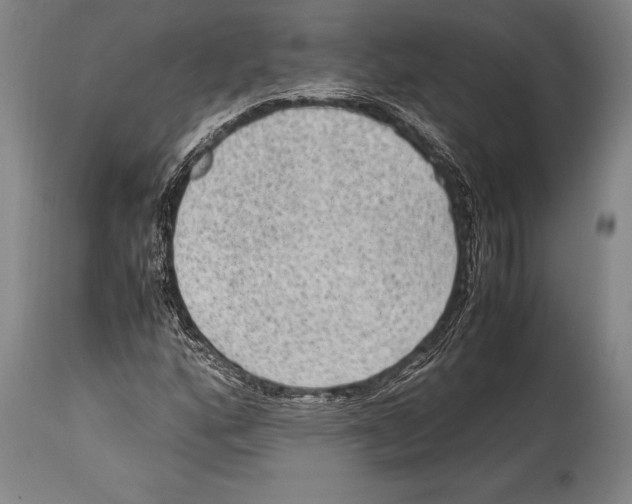 X0000114681160200911181224