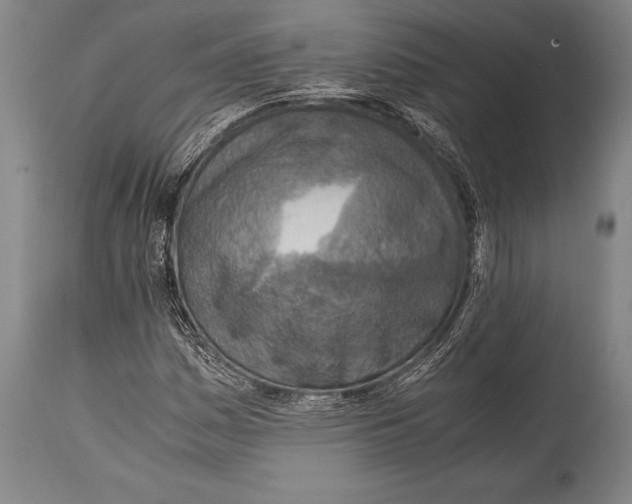 X0000114681161200911181224