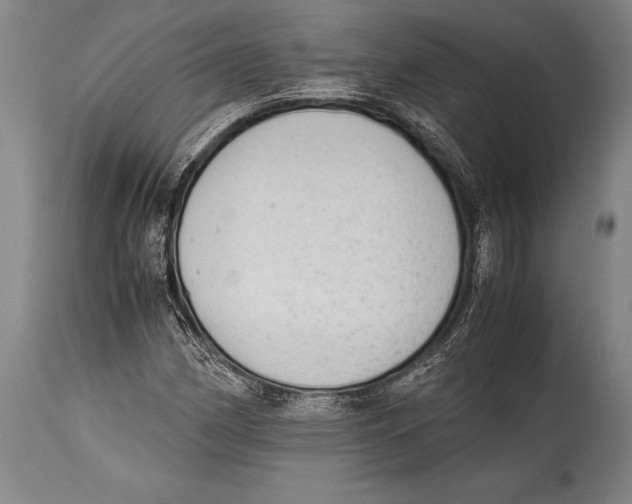 X0000114681162200911181224