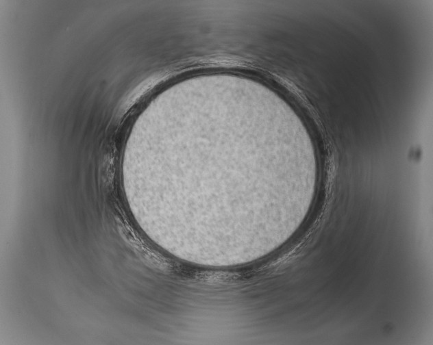 X0000114681163200911181224