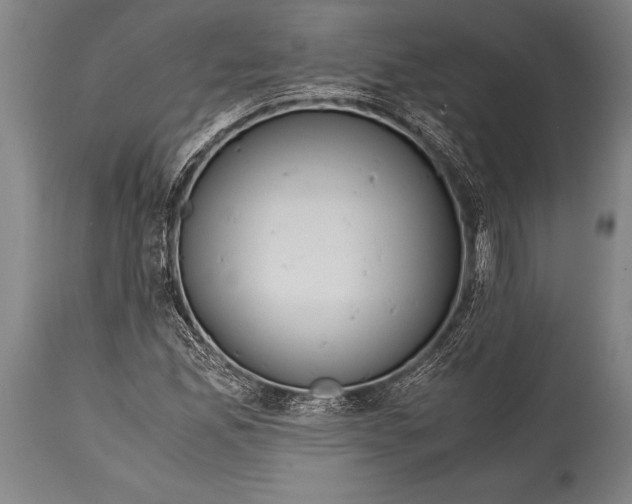 X0000114681165200911181224