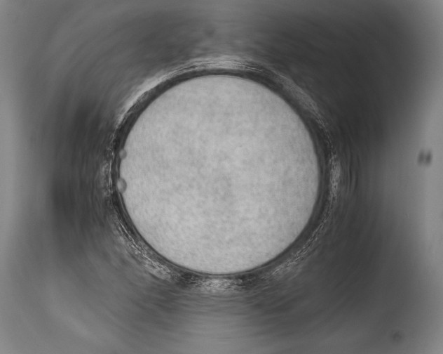 X0000114681166200911181224