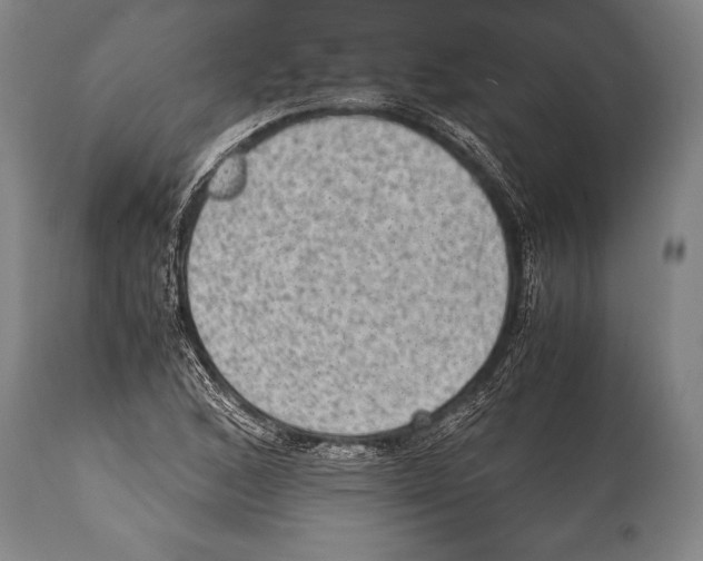 X0000114681168200911181224