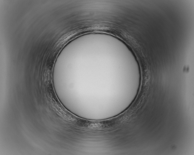 X0000114681169200911181224