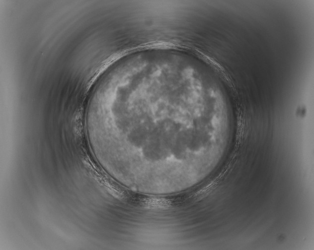 X0000114681170200911181224