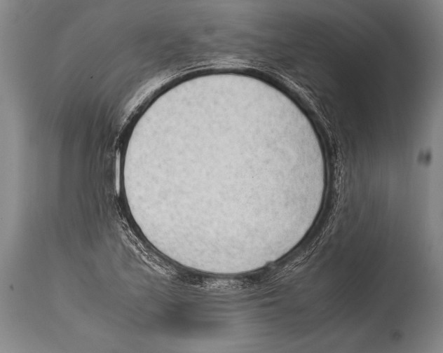 X0000114681171200911181224