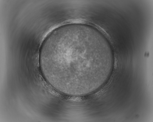 X0000114681174200911181224