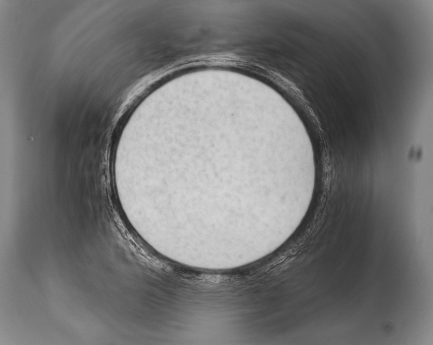 X0000114681176200911181223