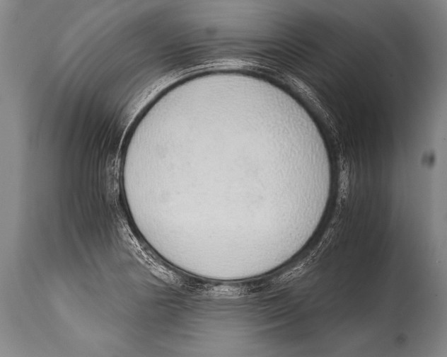 X0000114681178200911181223