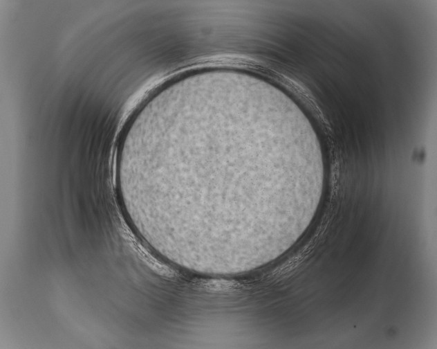 X0000114681180200911181223