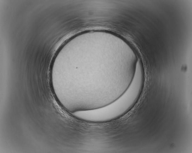X0000114681181200911181223