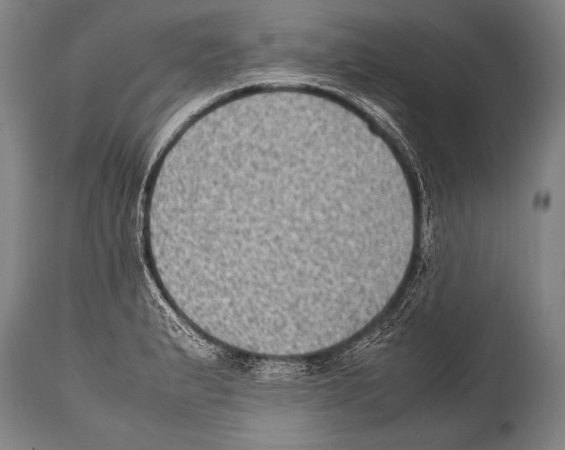 X0000114681183200911181223