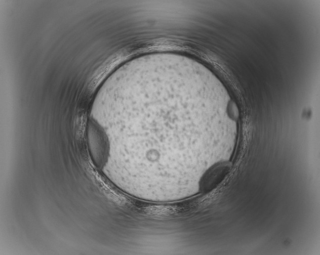 X0000114681185200911181223