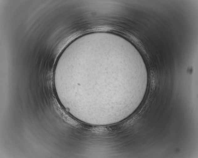 X0000114681186200911181223