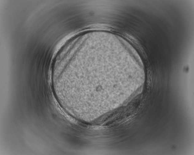 X0000114681188200911181223
