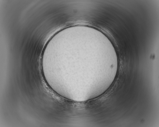 X0000114681190200911181223