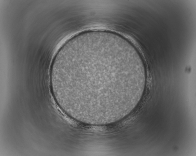 X0000114681191200911181223