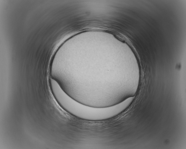 X0000114681195200911181223