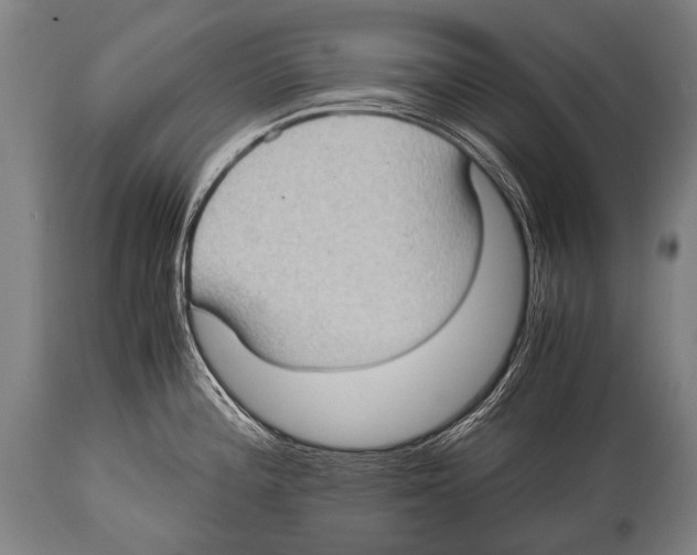 X0000114681196200911181223