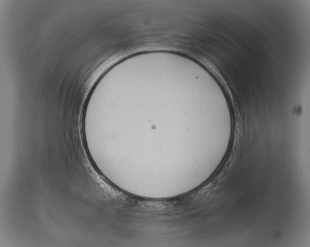 X0000114681197200911181223