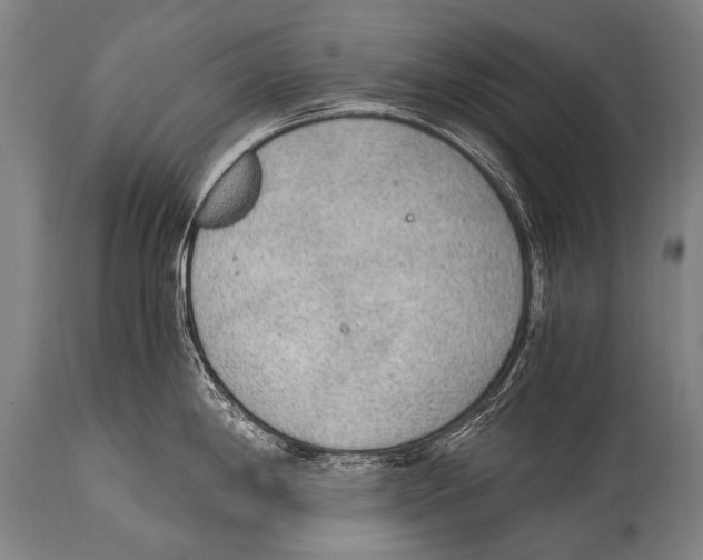 X0000114681198200911181223