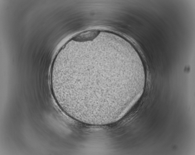 X0000114681199200911181223