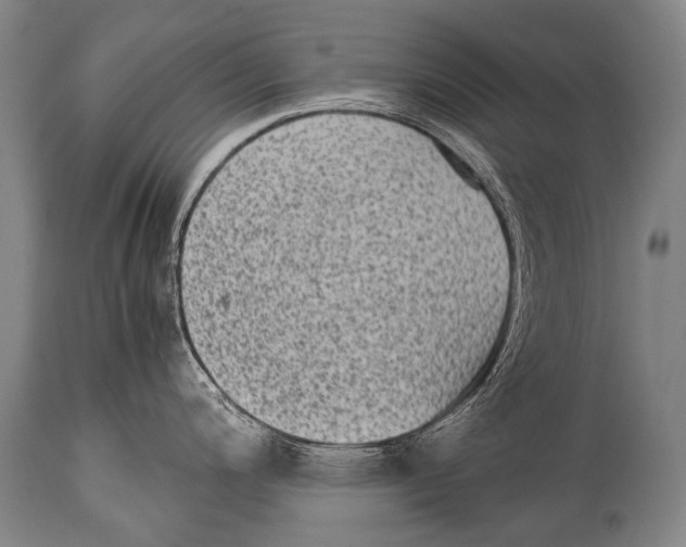 X0000114681200200911181223