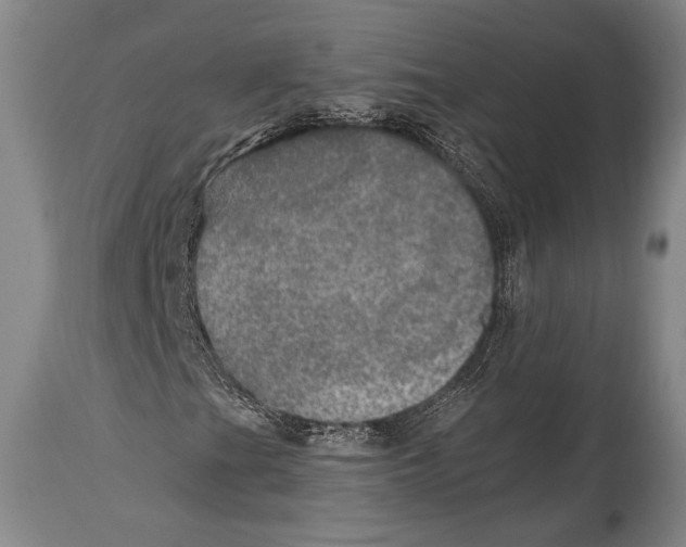 X0000114681201200911181223