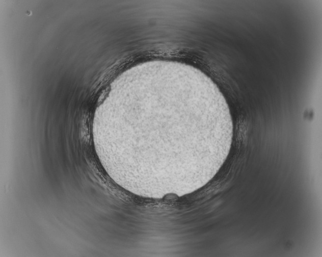 X0000114681202200911181223