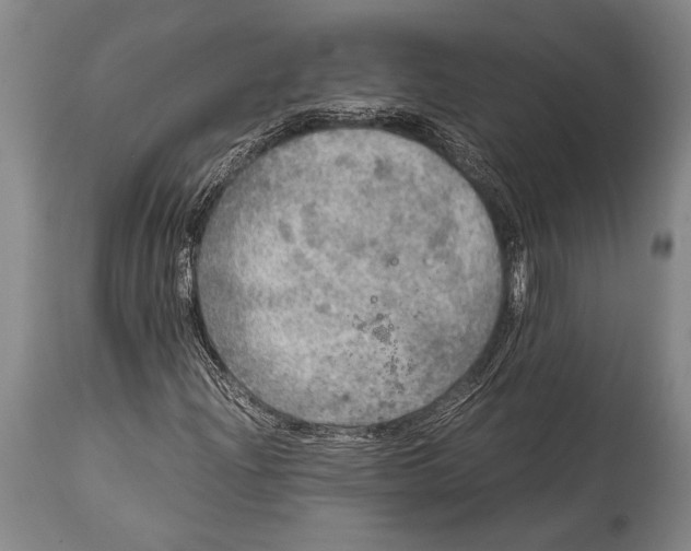 X0000114681204200911181223