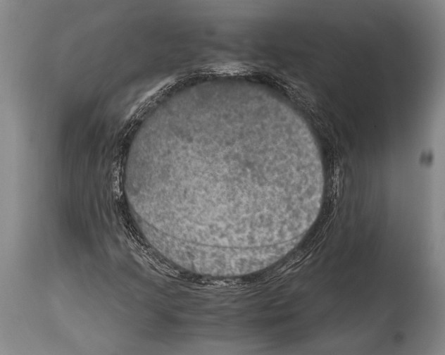 X0000114681205200911181223