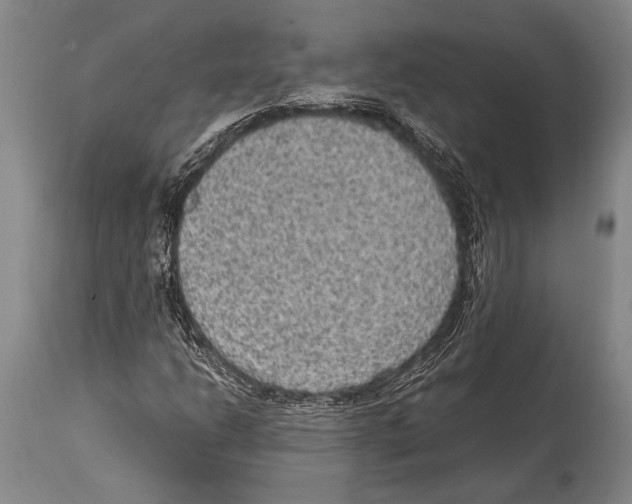 X0000114681206200911181223