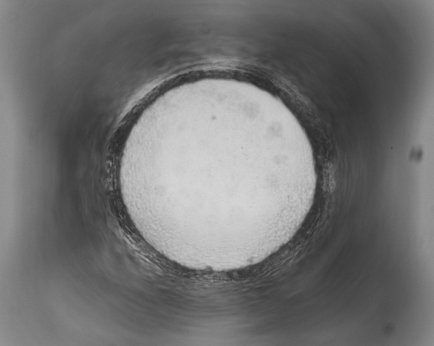 X0000114681208200911181223