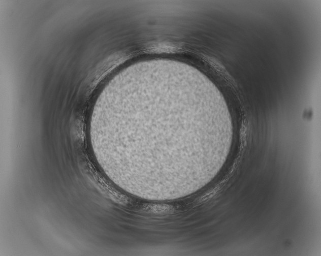 X0000114681209200911181223