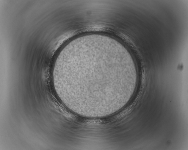 X0000114681210200911181223