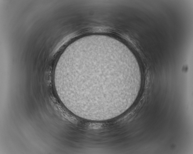 X0000114681211200911181223